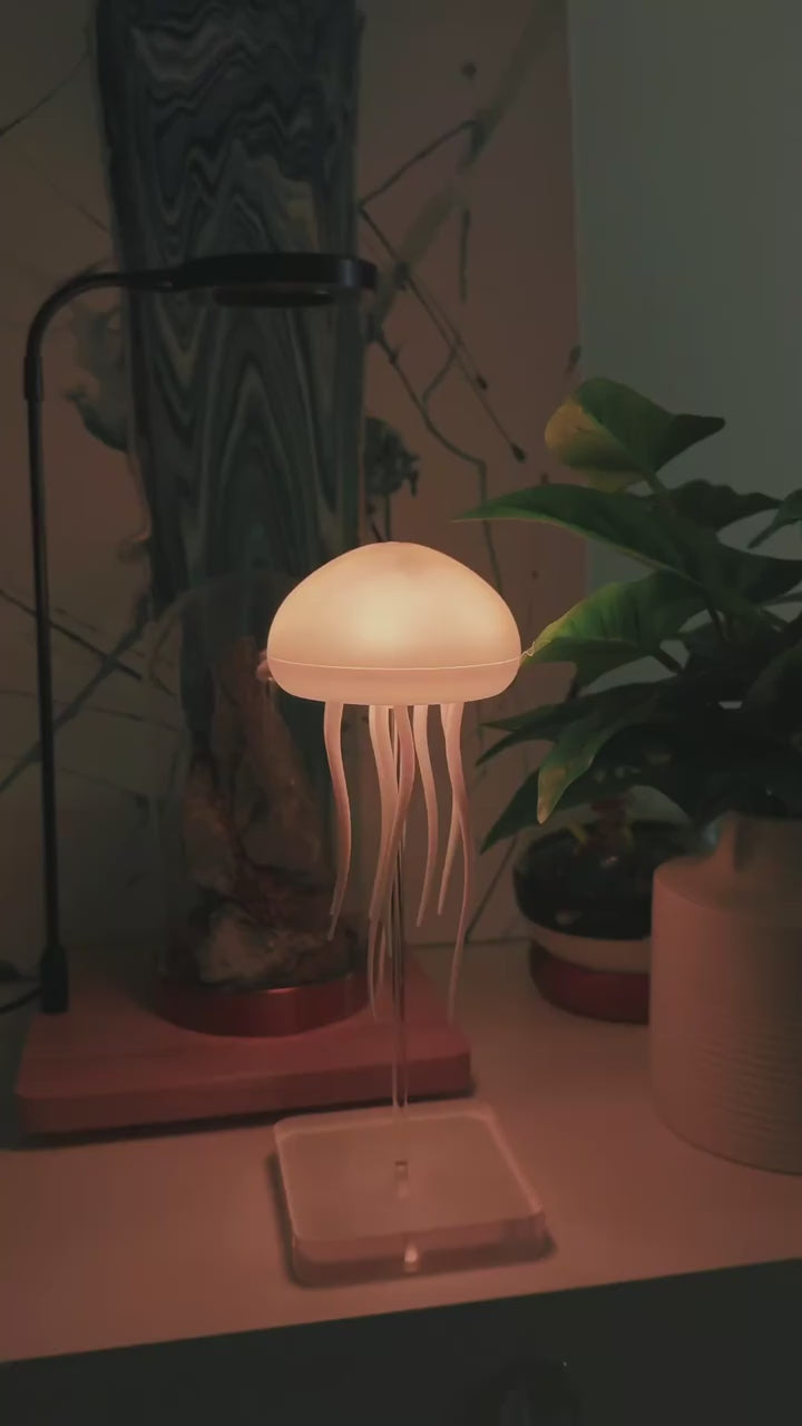 Jellyfish Lamb