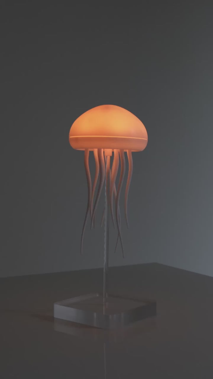 Jellyfish Lamb
