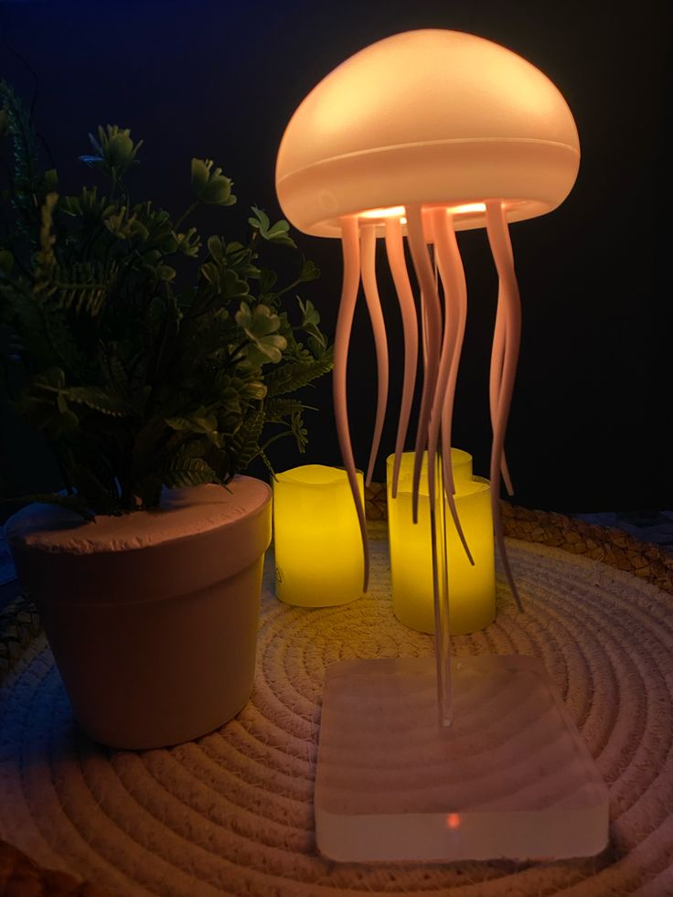 Jellyfish Lamb